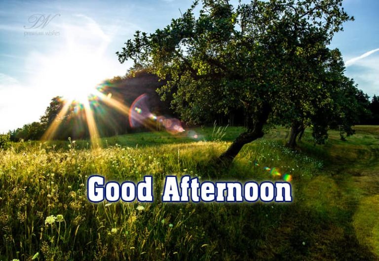 Good Afternoon Wishes