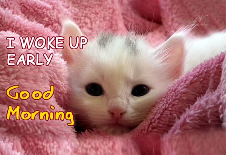 Good Morning – I woke up early