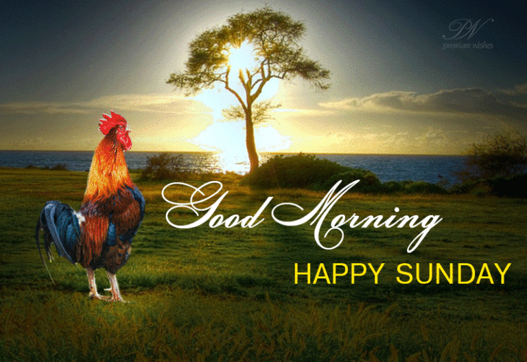 Good Morning – Happy Sunday Morning Good Morning – Happy Sunday Morning