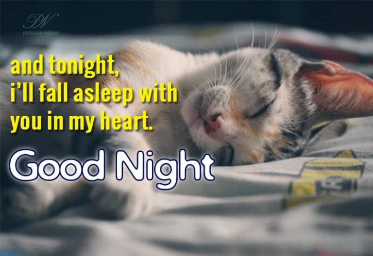 Good Night Wishes