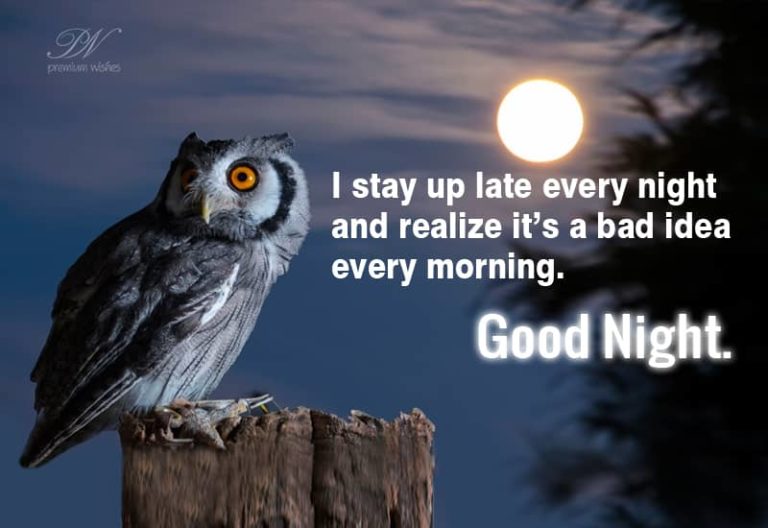 Good Night Wishes