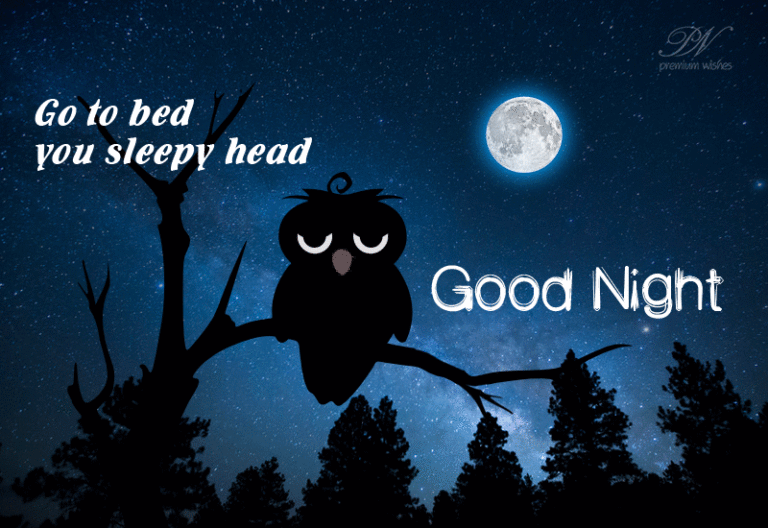 Good Night – Go To Bed