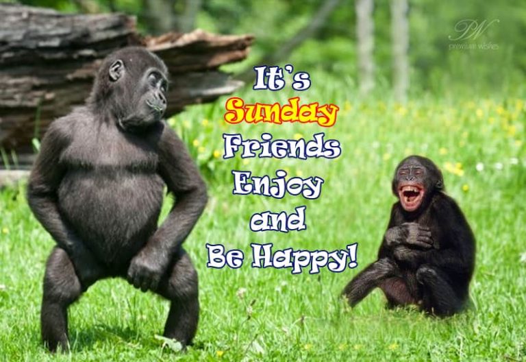 Happy Sunday – Enjoy