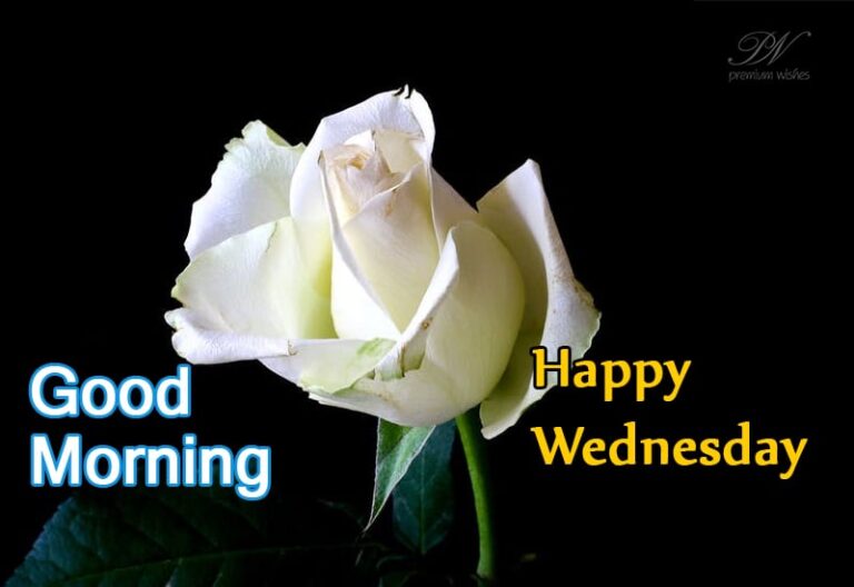 Good Morning – Happy Wednesday