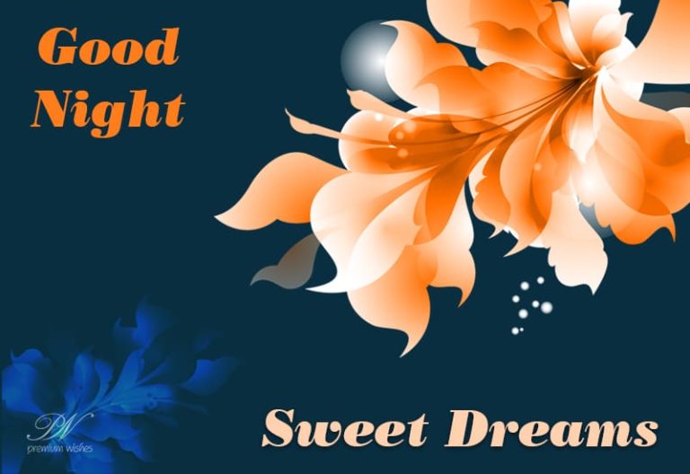 Good Night Wishes