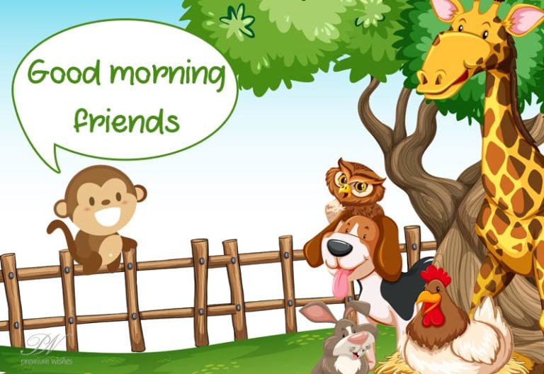 Happy and Good Morning Friends Happy and Good Morning Friends