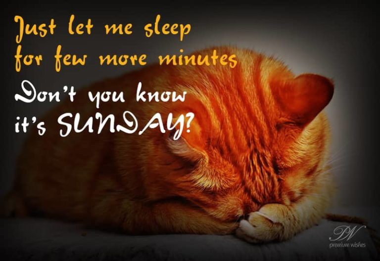 Don’t you know it is Sunday?