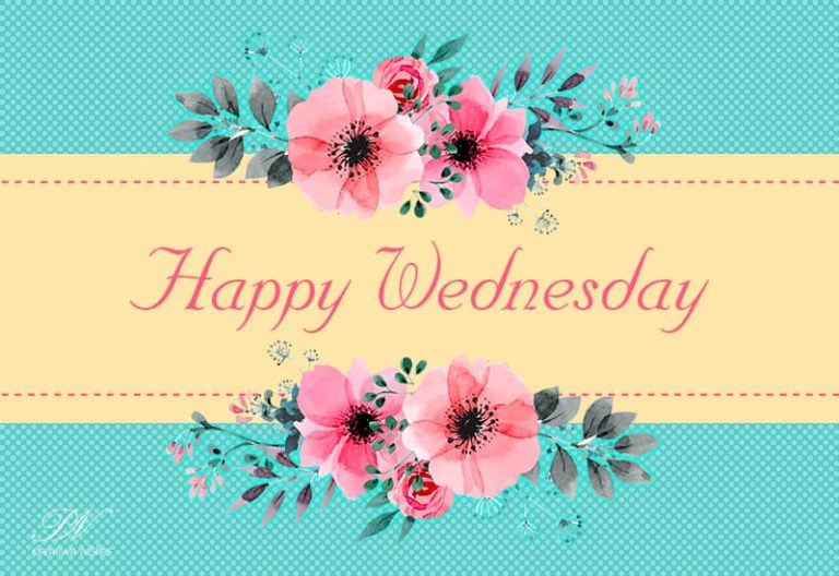 Happy Wednesday Morning