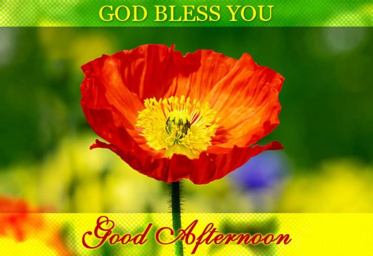 Good Afternoon Wishes