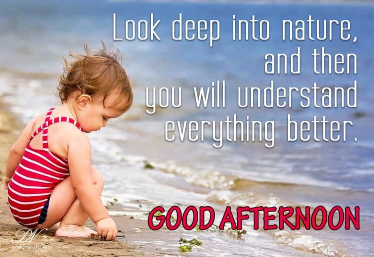 Good Afternoon Wishes