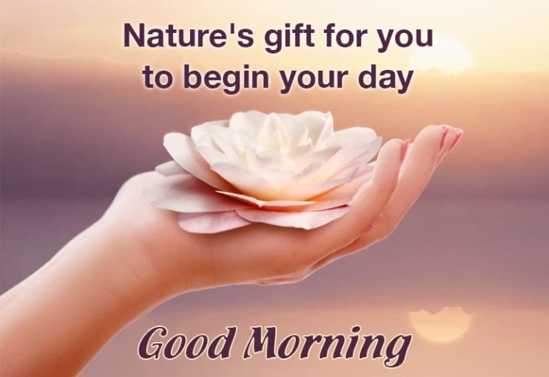 Good Morning Natures Gift