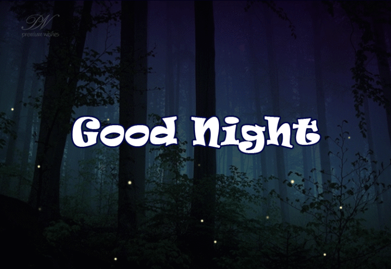 Good Night Wishes