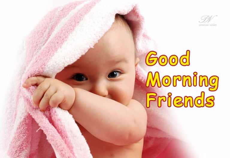Happy Morning Friends
