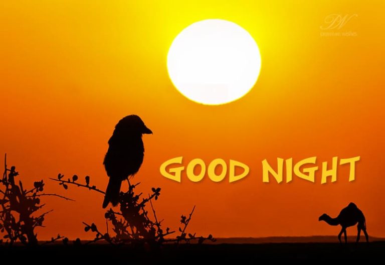 Good Night Wishes