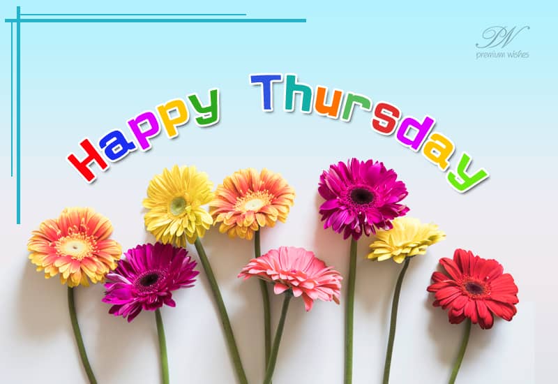 Happy Thursday Morning: Greetings and Blessings Good Morning, Happy Thursday!