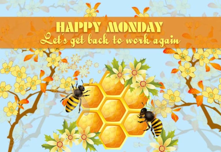 Happy Monday – back to work again