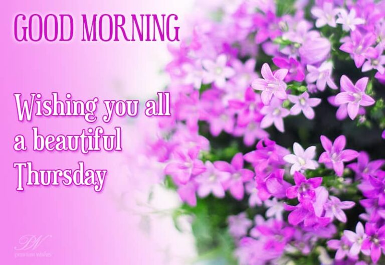 Wishing you a beautiful Thursday Wishing you a beautiful Thursday