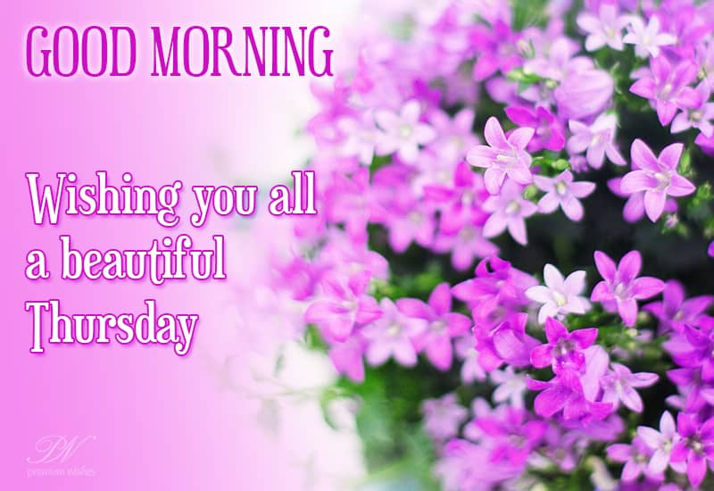 Happy Thursday Morning: Greetings and Blessings Good Morning, Happy Thursday!