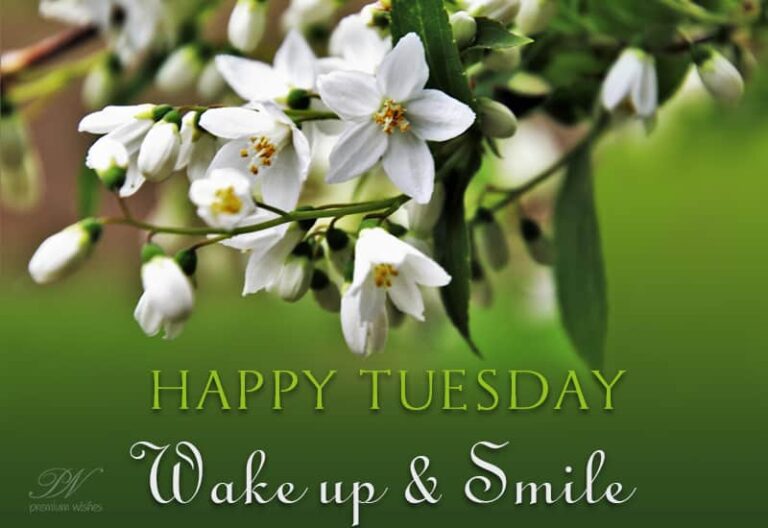 Happy Tuesday – Wakeup and Smile