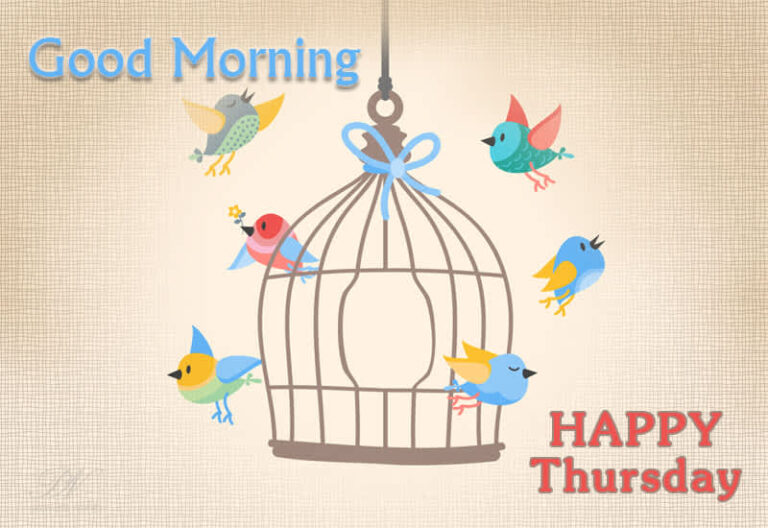 Good Morning – Happy Thursday