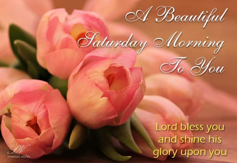 A beautiful Saturday Morning To you