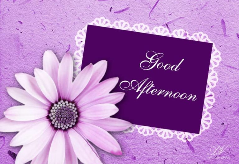 Good Afternoon Wishes