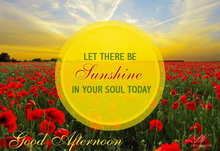 Good Afternoon Wishes