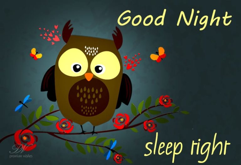 Good Night Wishes