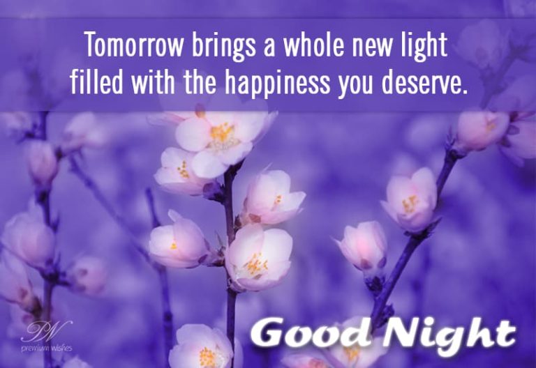 Good Night Wishes