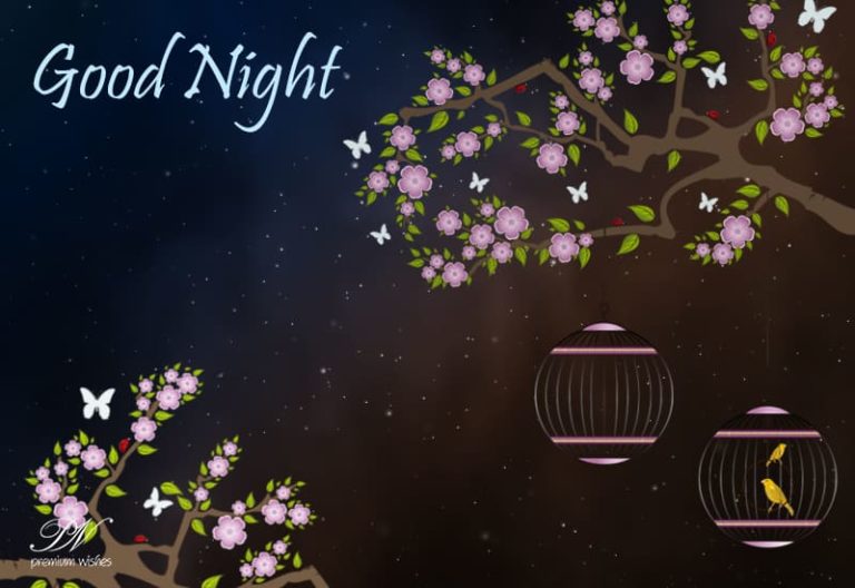 Good Night Wishes