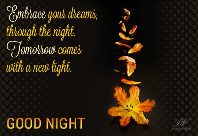 Good Night Wishes