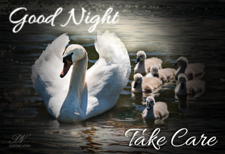 Good Night – Take Care