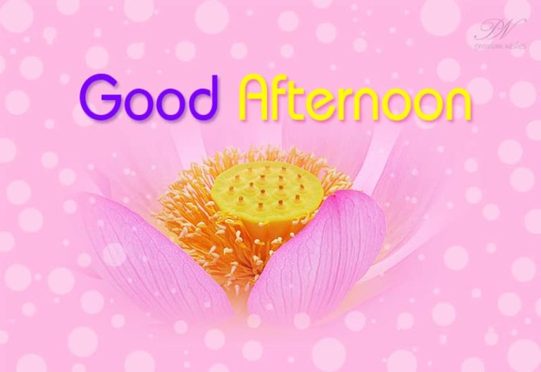 Good Afternoon Wishes