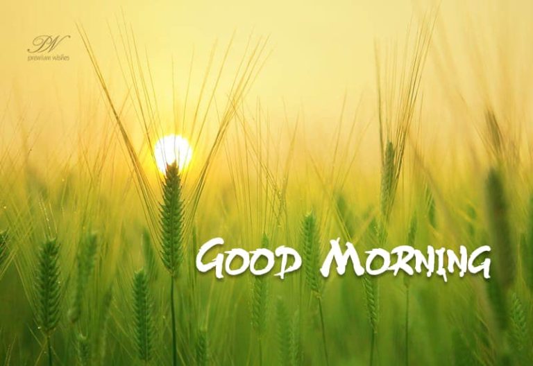 Hi Good Morning Friends Hi Good Morning Friends