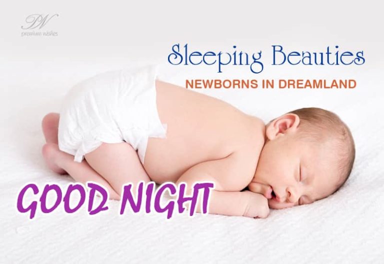 Good Night Wishes