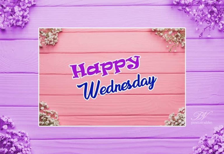 Happy Wednesday Morning Happy Wednesday Morning