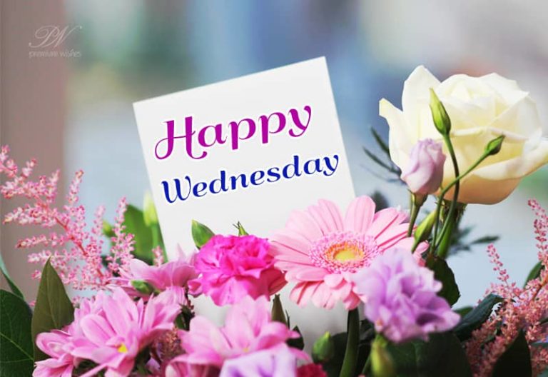 Happy Wednesday – Flowers To Wish You The Best Happy Wednesday – Flowers To Wish You The Best