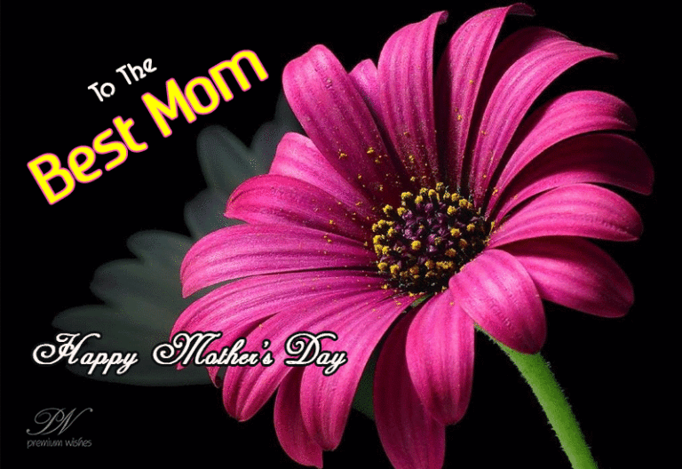 For the best mom in the world – Happy Mothers Day