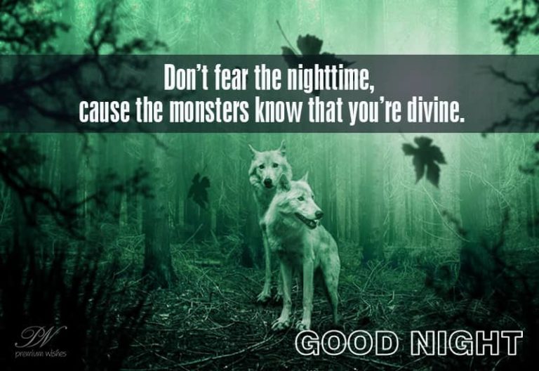 Good Night Wishes