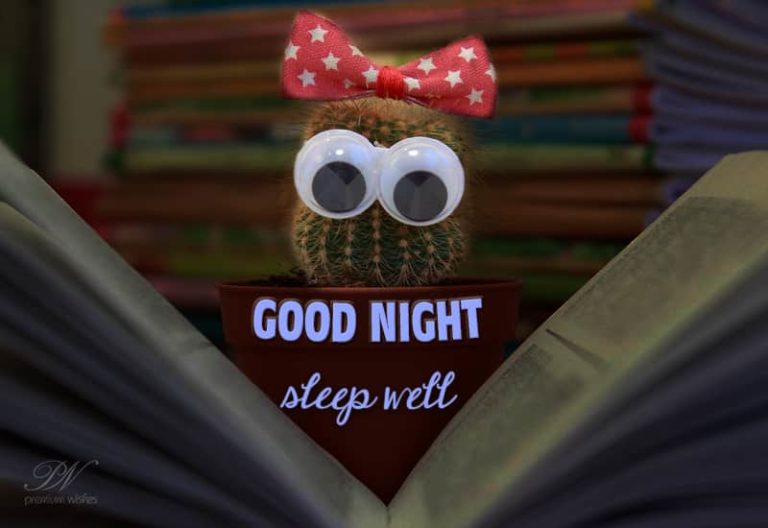 Good Night Wishes