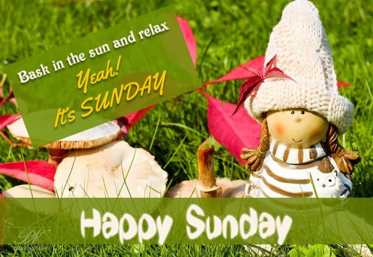 Bask in the sun and relax – Happy Sunday