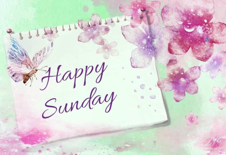 Good Morning Friends – Happy Sunday