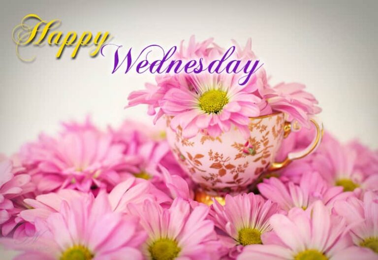 Happy Wednesday –  Halfway to your weekend