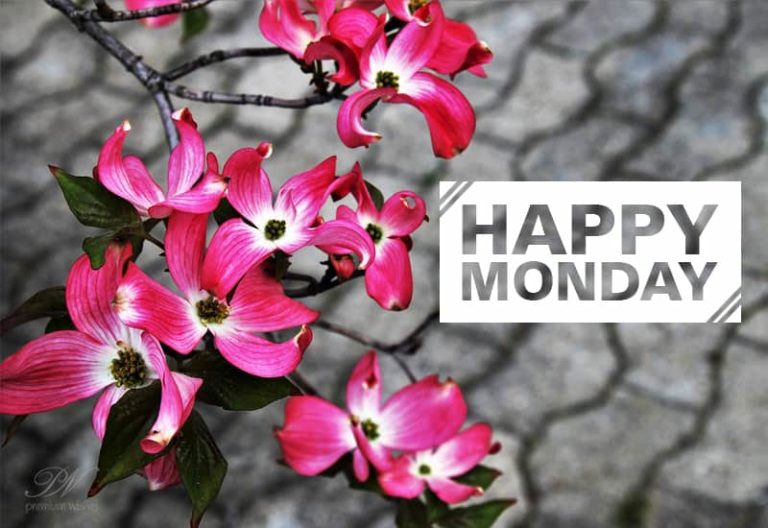 Good Morning Happy Monday