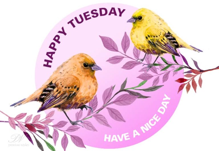 Happy Tuesday – Have a nice day ahead