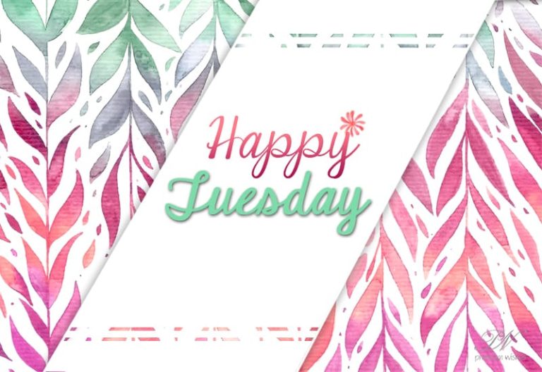 Wishing you a great Tuesday ahead