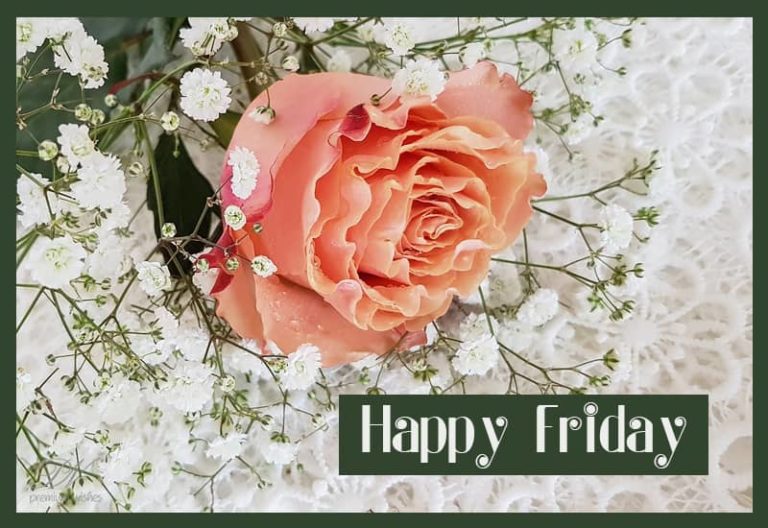 Happy Friday – Good Morning Friends