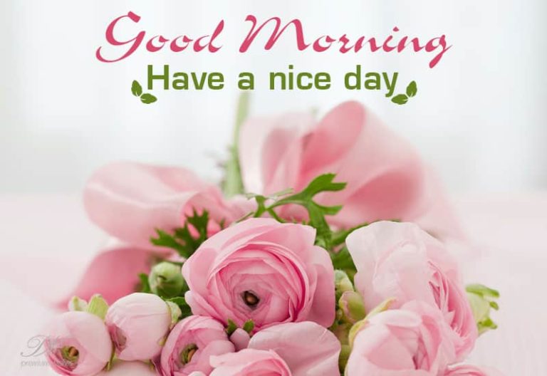 Good Morning – Have A Great Day Ahead