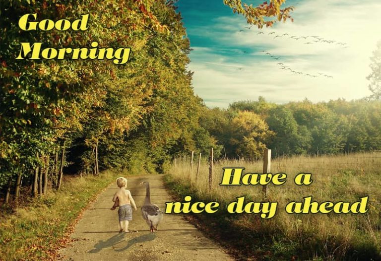 Good Morning – Wishing You Have A Great Day Ahead