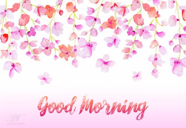 Send these beautiful flowers today morning to your loved ones